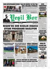YEŞİL BOR