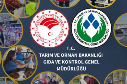 Gıda işletmecilerine ‘sahte belge’ uyarısı!