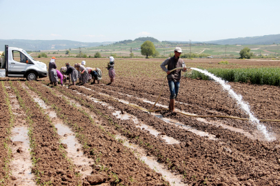 Yenişehir’de su seviyesi tehlikede