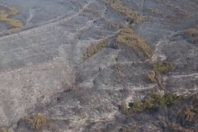 Tekirdağ Şarköy’deki yangın kontrol altında