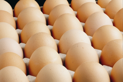 Türk Gıda Kodeksi Yumurta Tebliği’nde değişiklik