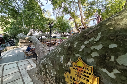 Bursa İnkaya’da görkemli gölge