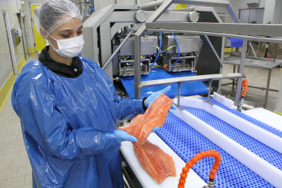 Türk somonu ihracatı rekor kırıyor… 2035 hedefi 1 milyar dolar