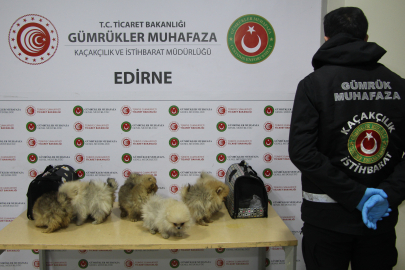 Gümrüklerde yakalamalar yüzde 199 arttı