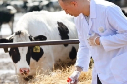 Tarım-GFE’de Mayıs verileri açıklandı