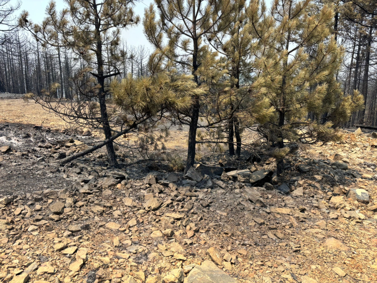 Bakan Yerlikaya’dan yangın raporu: 13 ilde 407 konut ve 96 ahır ağır hasarlı