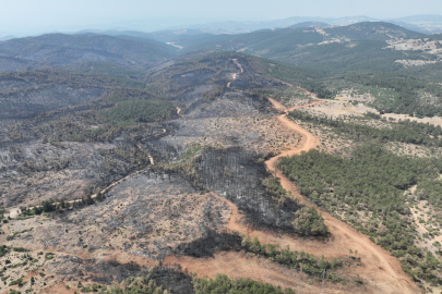 11 Kasım’da fidan dikimine davet