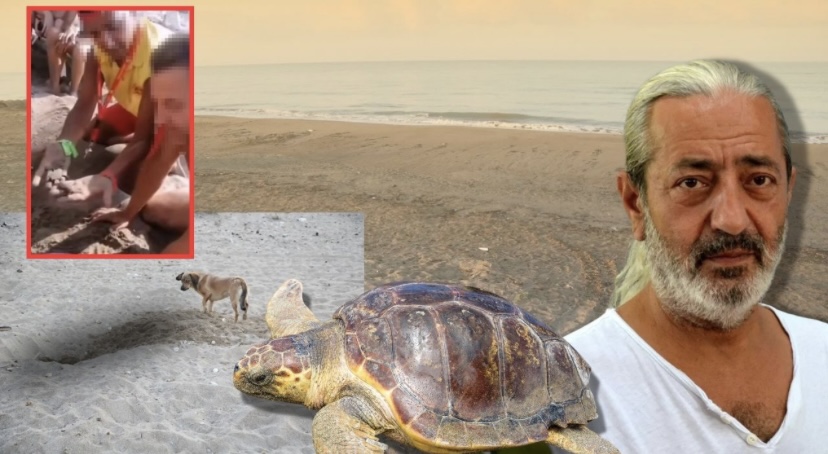 Turistlere Pazarlanan Carettalar: Tehlike Altındaki Türün Yaşam Alanı Tehlikede