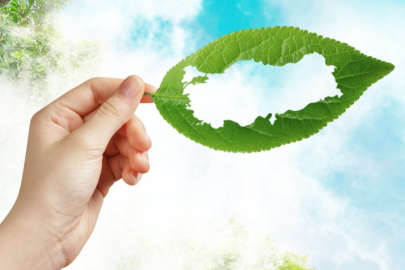 MEB’den ‘yeşil vatan’ seferberliği