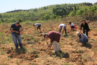 ÇEKÜL’den ‘acele etmeyin’ uyarısı! Yanan bölgelerde fidan dikimi için acele edilmemeli