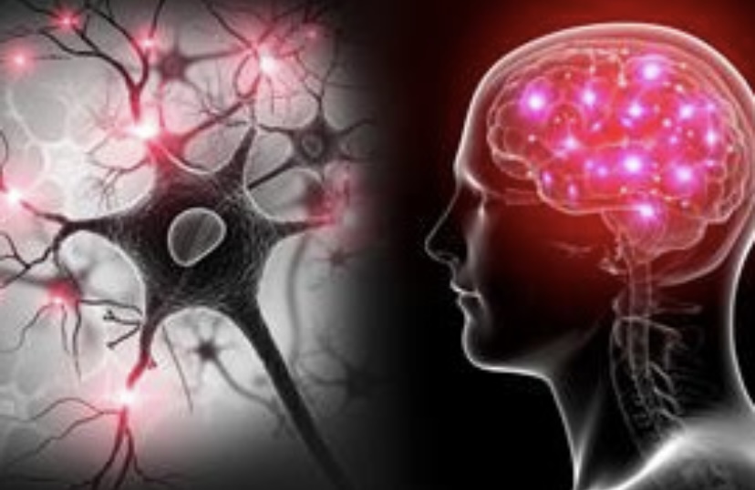 Yapay zekâ ve EEG ile otizm ve dislekside erken teşhis umudu