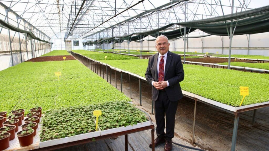 400 Bin kışlık sebze fidesi dağıtıma hazır – Birlik Haber Ajansı