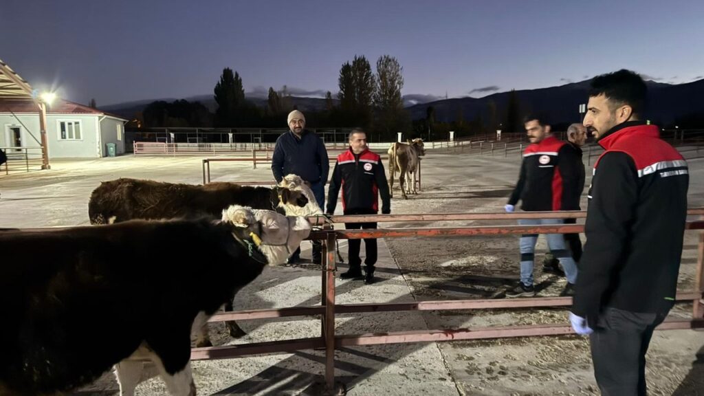 Erzincan Canlı Hayvan pazarı açıldı – Birlik Haber Ajansı