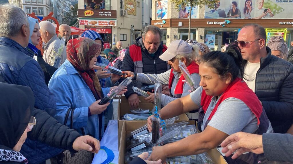 Ordu’da 2 bin adet fidan toprakla buluştu – Birlik Haber Ajansı