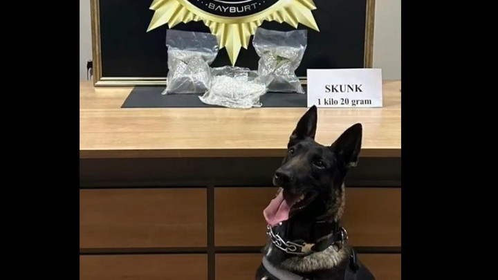 Otobüste yapılan aramada bavula yerleştirilmiş 1 kilo 20 gram skunk ele geçirildi