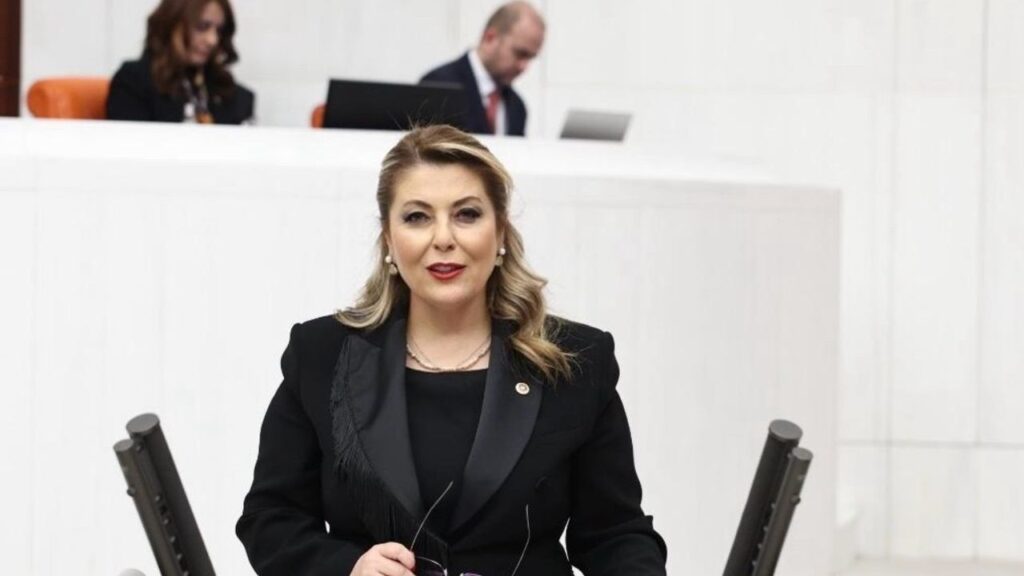 CHP Giresun Milletvekili Elvan Işık Gezmiş sordu; Dal-çık ne oldu? – Birlik Haber Ajansı