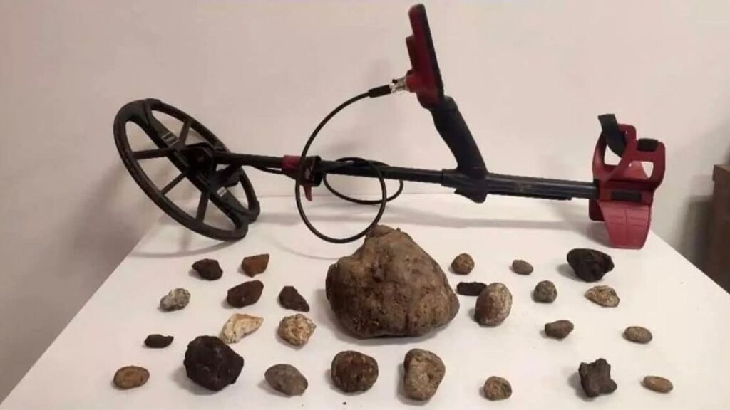 Güdül’de kaçak kazı operasyonu: 6 şüpheli yakalandı – Birlik Haber Ajansı