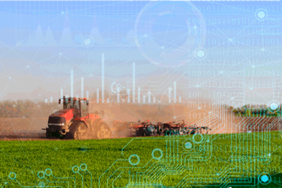 TÜİK 2025 bitkisel üretim verilerini açıkladı