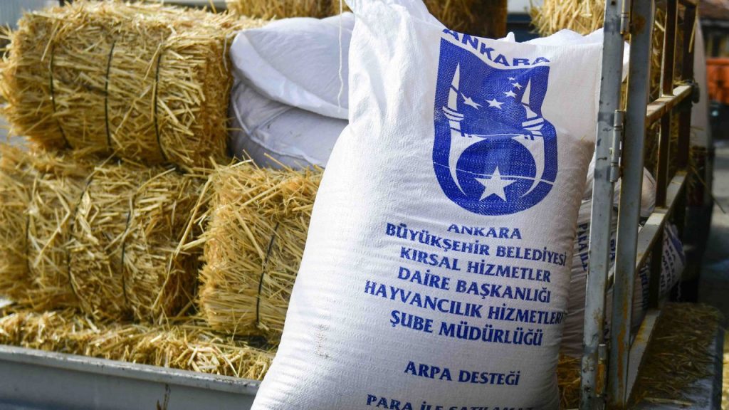 ABB’nin kırsal kalkınma destekleri sürüyor – Birlik Haber Ajansı