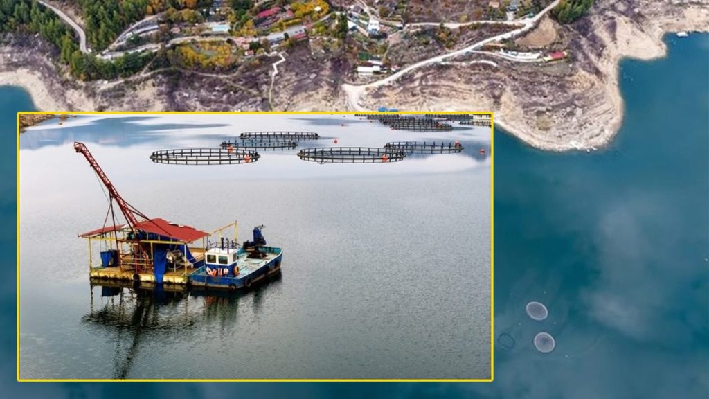 Karacaören Barajı’nda balıkçılık canlanıyor – Birlik Haber Ajansı