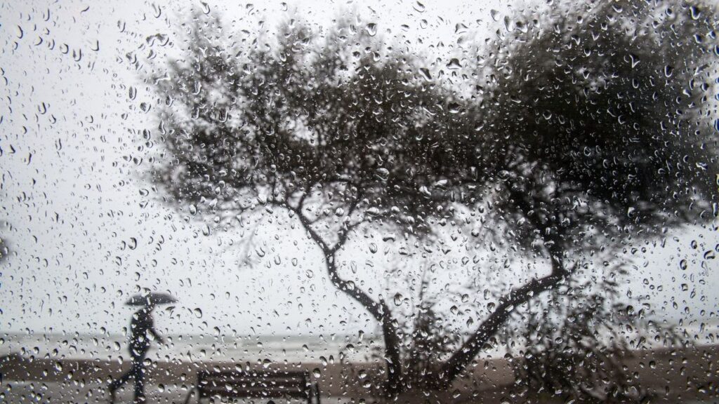 Meteorolojiden Muğla ve Antalya için sarı kodlu yağış uyarısı – Birlik Haber Ajansı