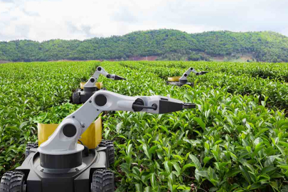 Kamu Teknoloji Platformu 2026’yı ‘Kamusal Zekâ Yılı’ ilan etti