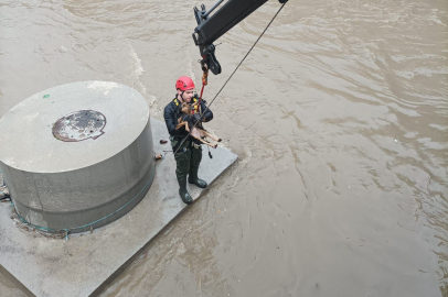 Derede köpek kurtarma operasyonu