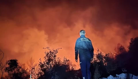 Antalya’da orman yangını: 2 hektarlık alan zarar gördü