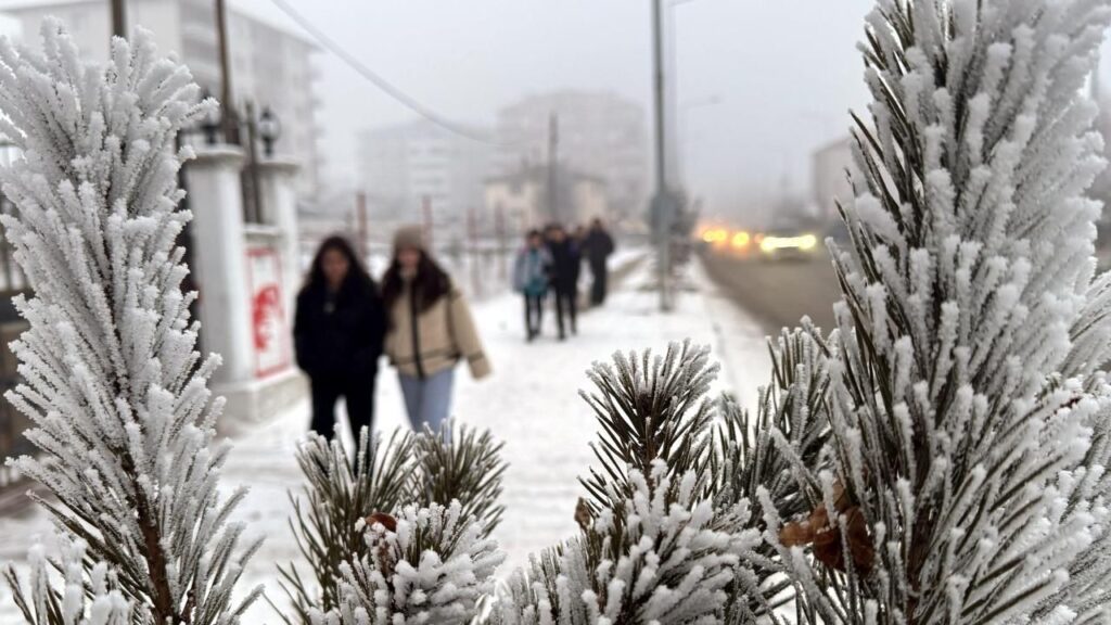 Ardahan Göle’de sıcaklık eksi 40 dereceye yaklaştı – Birlik Haber Ajansı