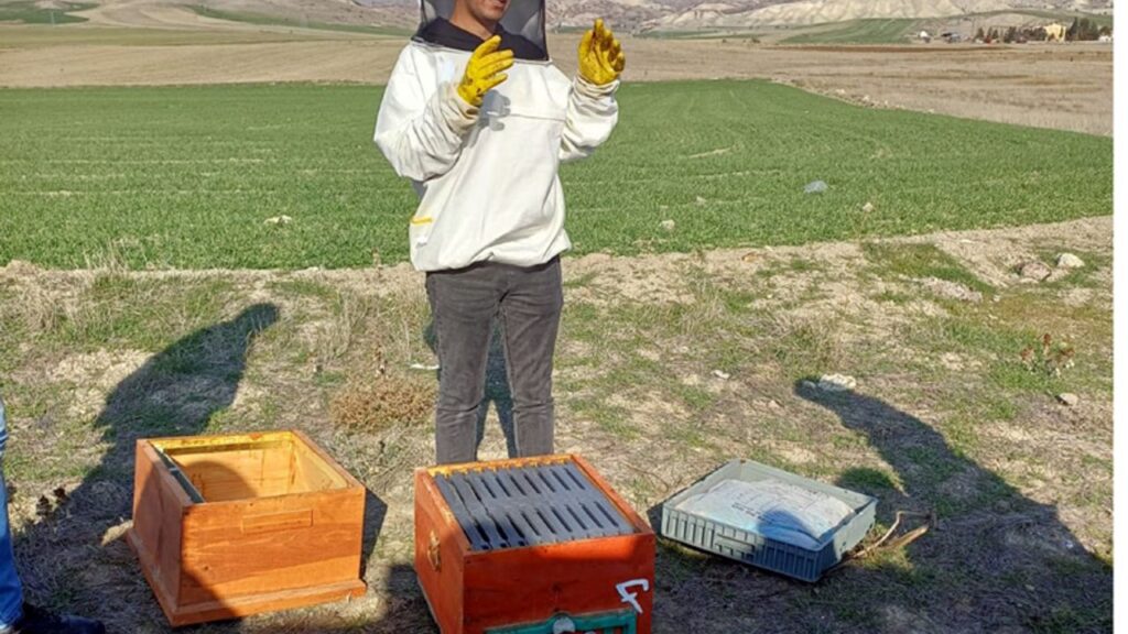 Halk Eğitim Merkezi Müdürlüğünden uygulamalı arıcılık kursu – Birlik Haber Ajansı