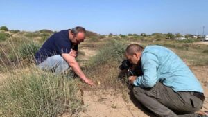 Endemik türü koparmanın cezası 699 bin lirayı aşıyor – Birlik Haber Ajansı