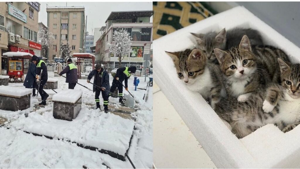 Belediye emekçileri yoğun kar yağışına karşı seferber oldu – Birlik Haber Ajansı