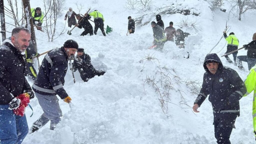 Van’ın Çatak ilçesinde iki mahalleye çığ düştü: Bir kadın çığ altında kaldı – Birlik Haber Ajansı