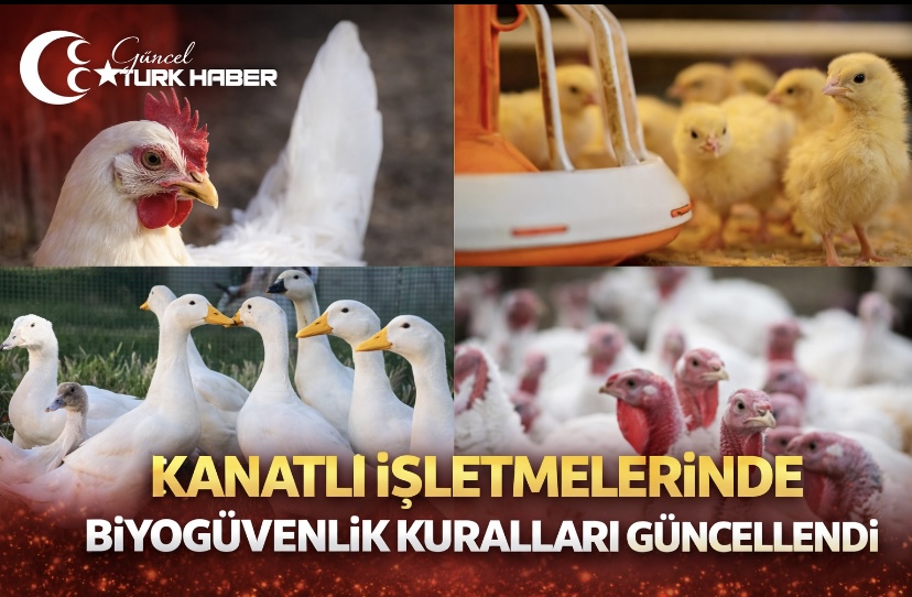 Kanatlı işletmelerinde biyogüvenlik kuralları güncellendi