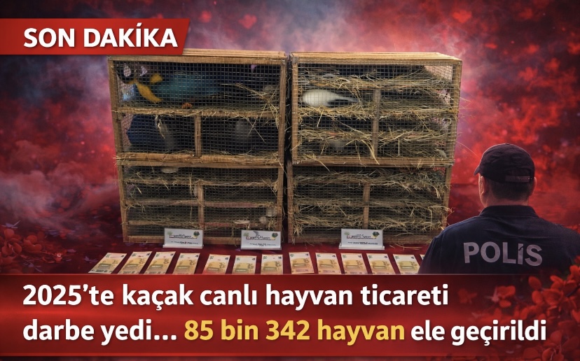 2025’te kaçak canlı hayvan ticareti darbe yedi… 85 bin 342 hayvan ele geçirildi