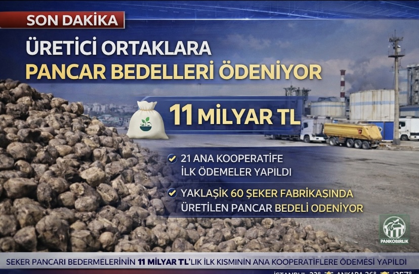 Üretici ortaklara pancar bedelleri ödeniyor