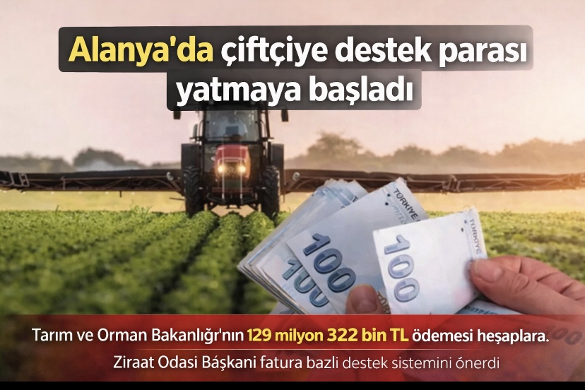 Alanya’da çiftçiye destek parası yatmaya başladı