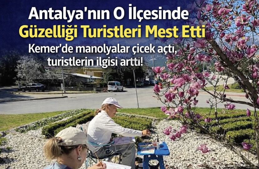 Antalya’nın O İlçesinde Doğa Şöleni: Manolyalar Turistleri Mest Etti