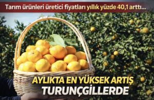 Aylıkta en yüksek artış turunçgillerde