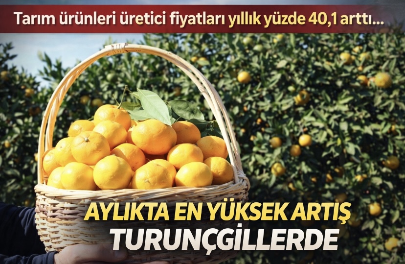 Aylıkta en yüksek artış turunçgillerde