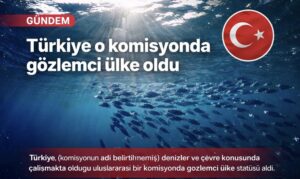 Türkiye o komisyonda gözlemci ülke oldu
