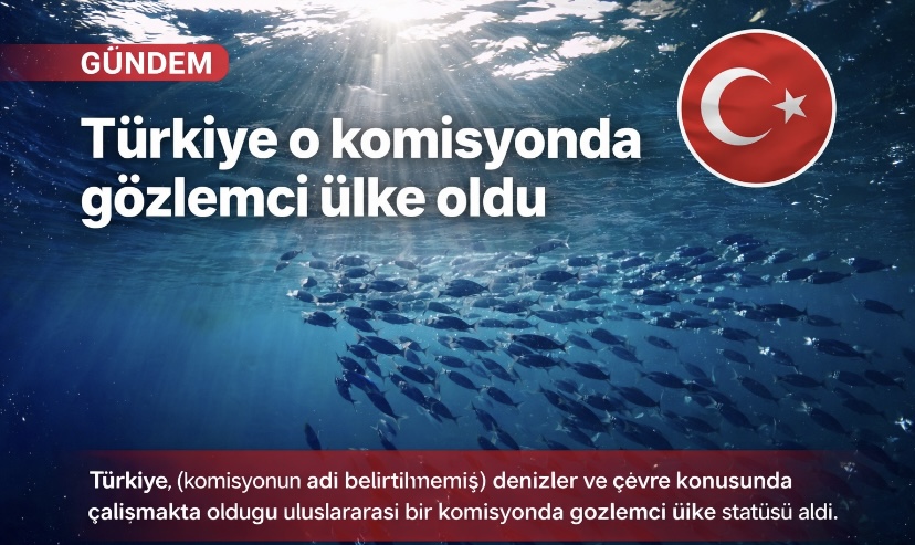 Türkiye o komisyonda gözlemci ülke oldu