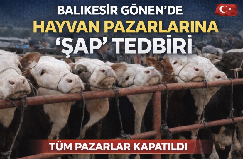 Balıkesir Gönen’de hayvan pazarlarına ‘şap’ tedbiri