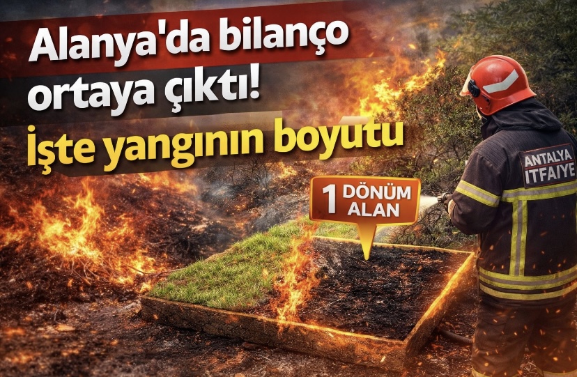 Alanya’da bilanço ortaya çıktı: Yangının boyutu netleşti