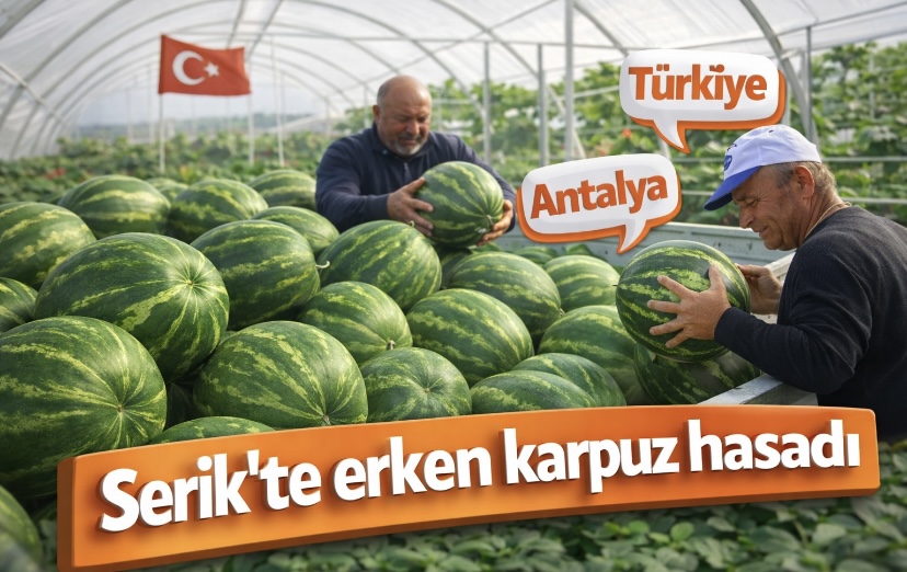 Serik’te erken karpuz hasadı