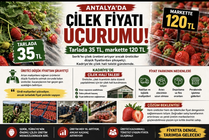 Antalya’da çilek fiyatı uçurumu: Tarlada 35 TL, markette 120 TL