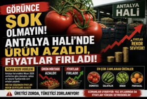 Görünce Şok Olmayın! Antalya Hali’nde Ürün Azaldı, Fiyatlar Fırladı