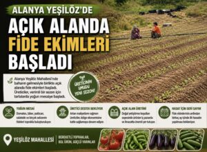 Alanya Yeşilöz’de Açık Alanda Fide Ekimleri Başladı