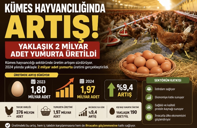 Kümes hayvancılığında artış! Yaklaşık 2 milyar adet yumurta üretildi