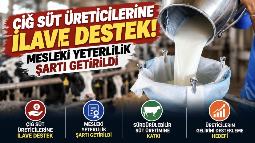 Çiğ süt üreticilerine ilave destek! Mesleki yeterlilik şartı getirildi